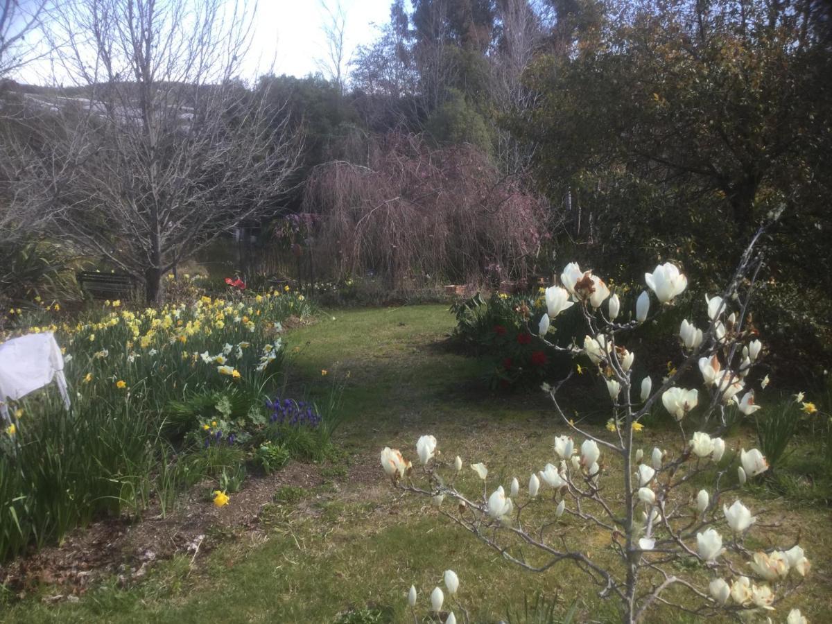 Mapua Garden B & B Eksteriør billede