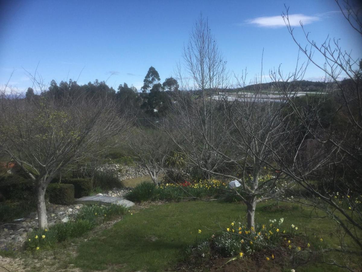 Mapua Garden B & B Eksteriør billede